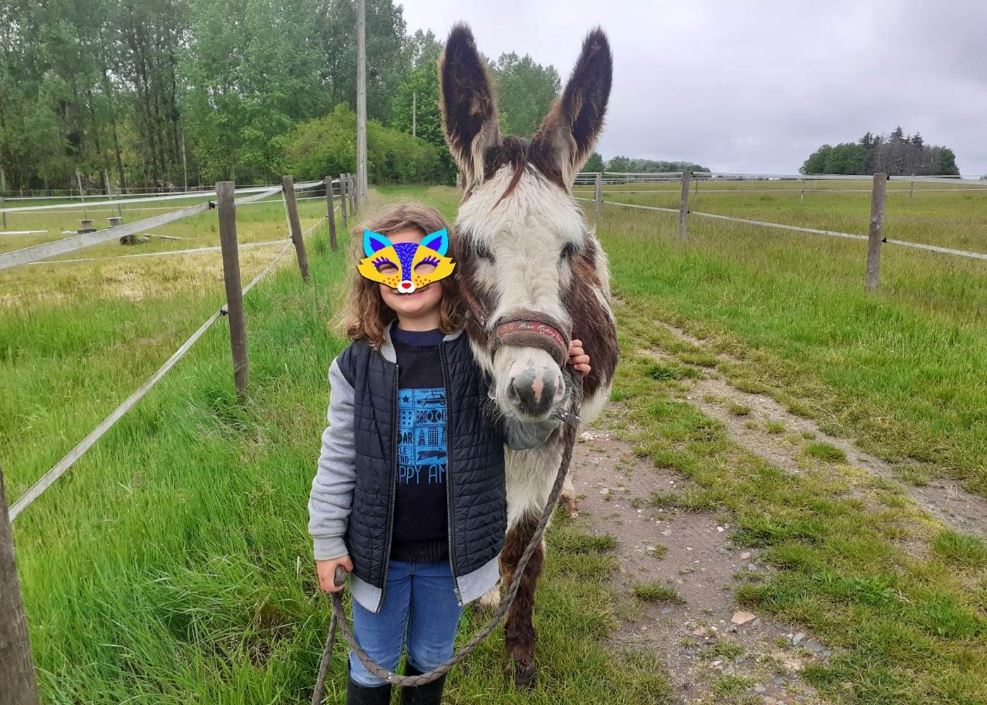 Domaine du Gué du Roi Se Balader à Pied avec l'Ane Iroquois