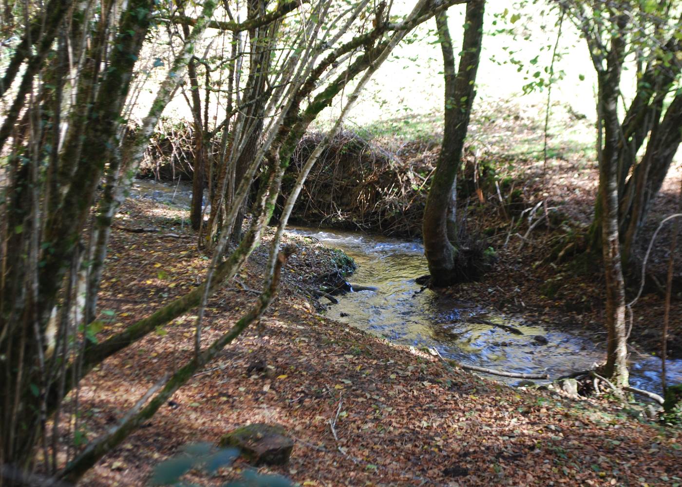 le ruisseaux des fantaisies à 15' à pied du Ranch des Lacs Hotel 87120