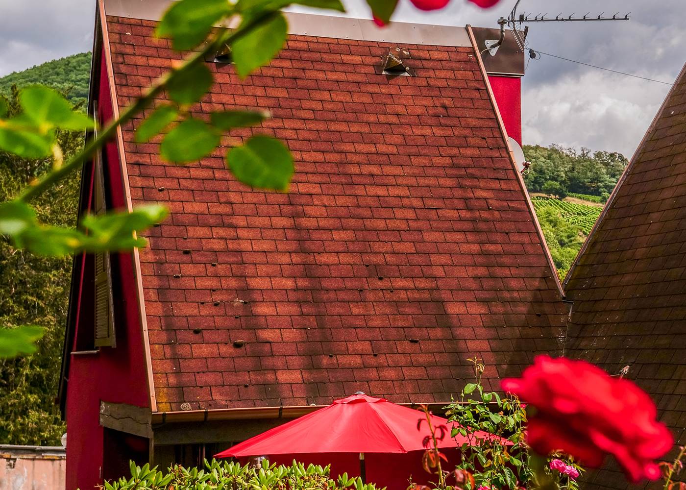 Le pavillon en été dans son cadre très verdoyant et fleuri
