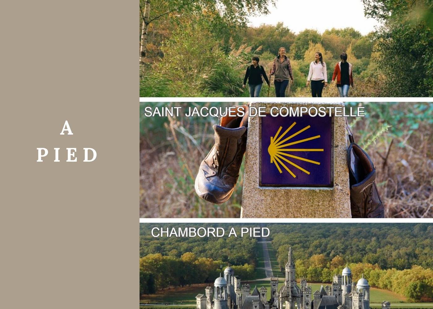 Domaine du Gué du Roi A Pied