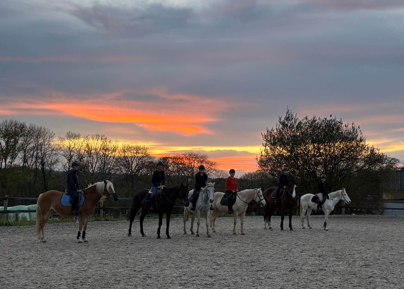 Cours d'équitation