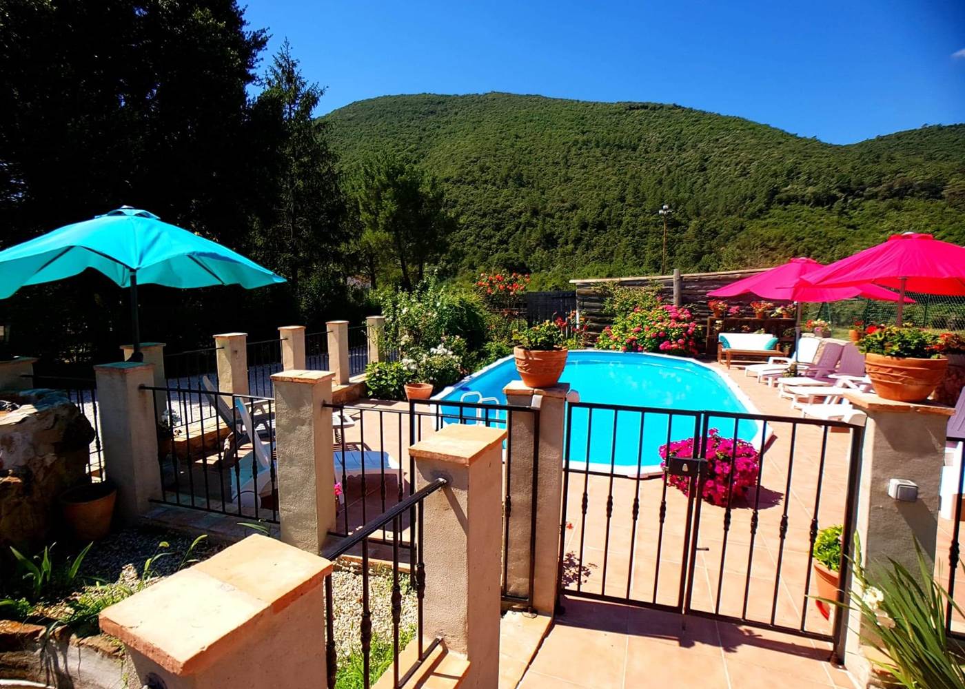 received_248968645994304