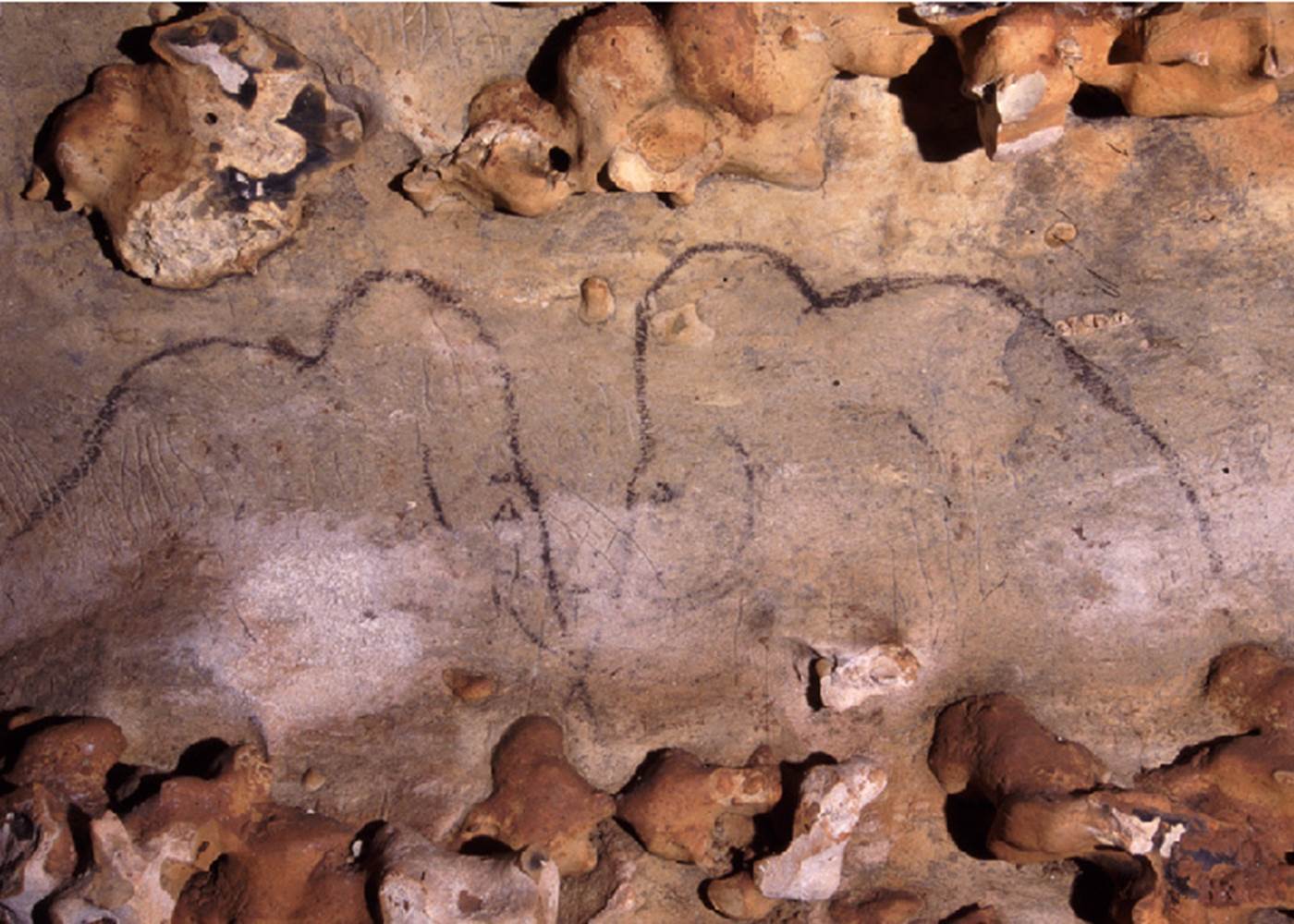 La grotte de Rouffignac