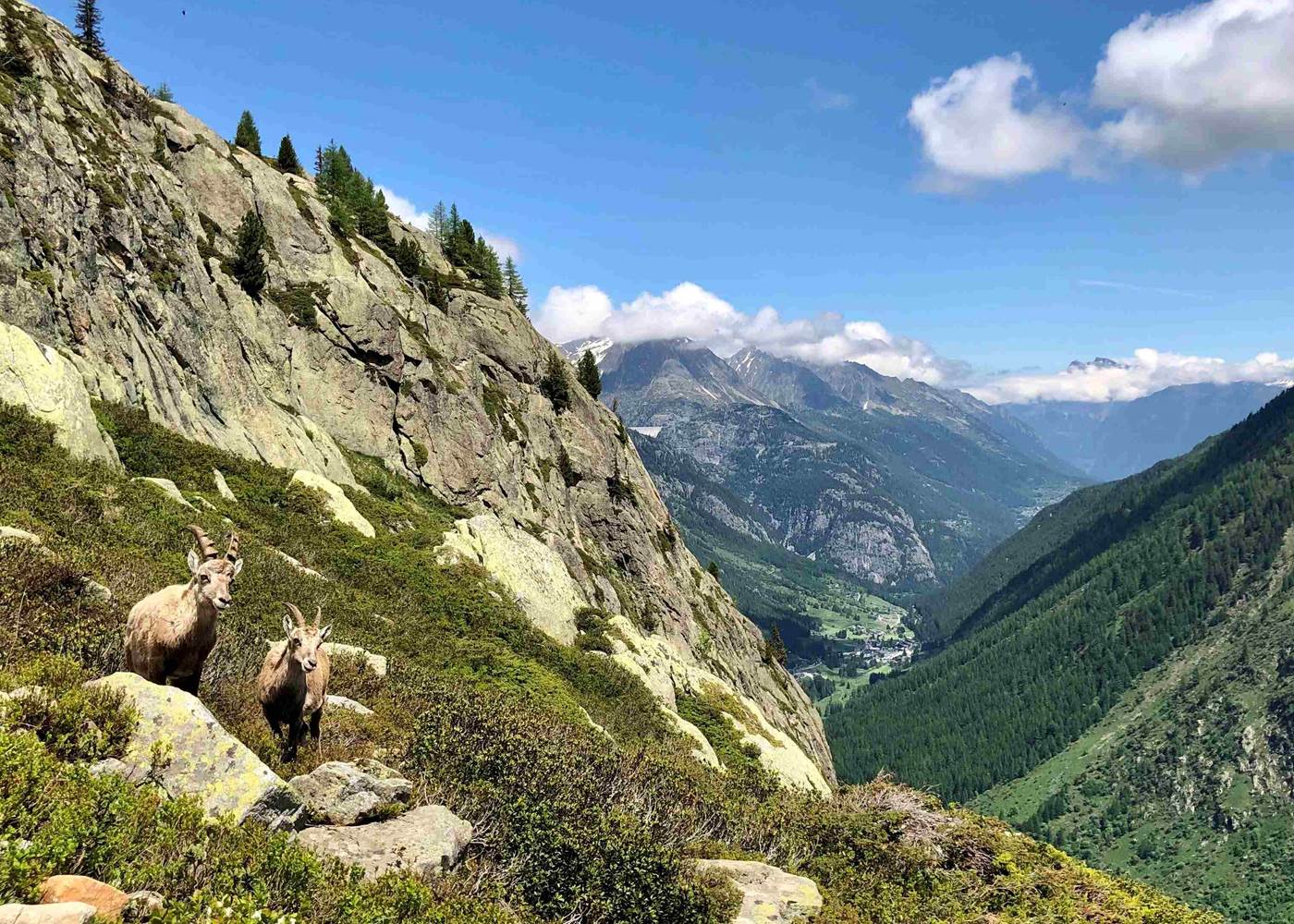 Randonnée / hike col de Montets (departure 10 minutes of the residence)