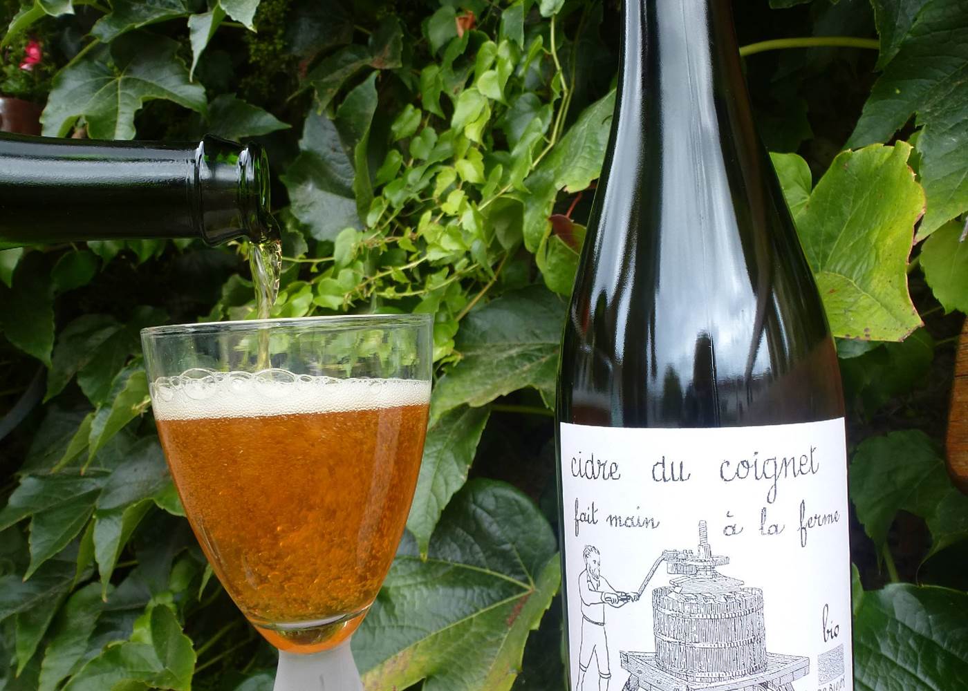 Ferme du Coignet - Cidre