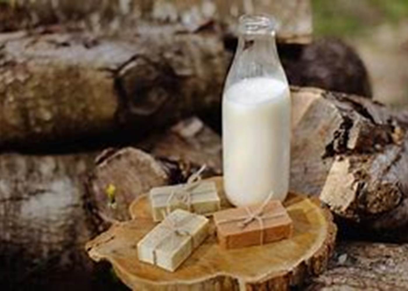 Lait d'ânesse Bio Sauma Lescun