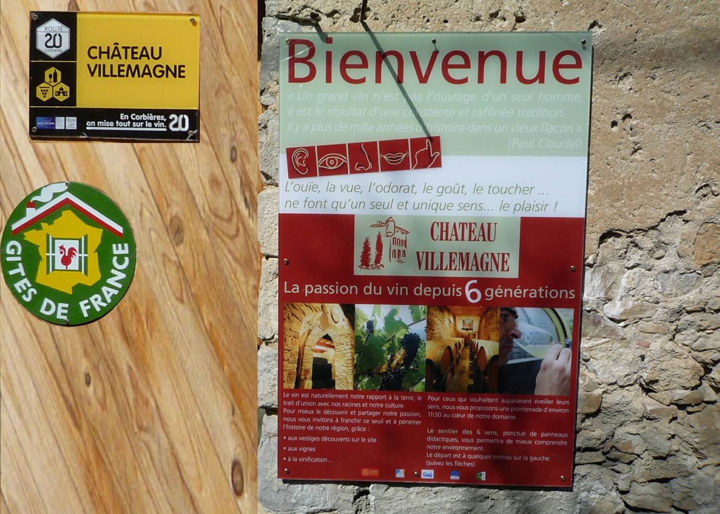 Venez découvrir nos vins et nos activités