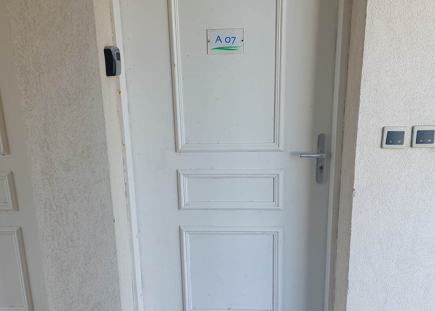 WhatsApp Image 2025-01-12 at 15.19.51