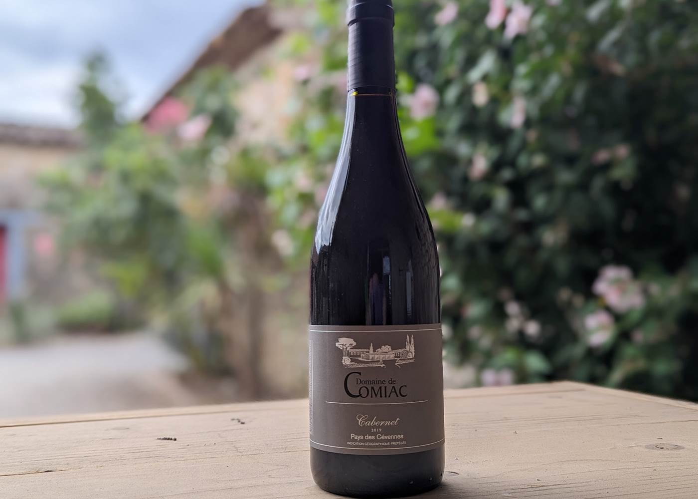 IGP Cévennes Rouge "100% Cabernet"