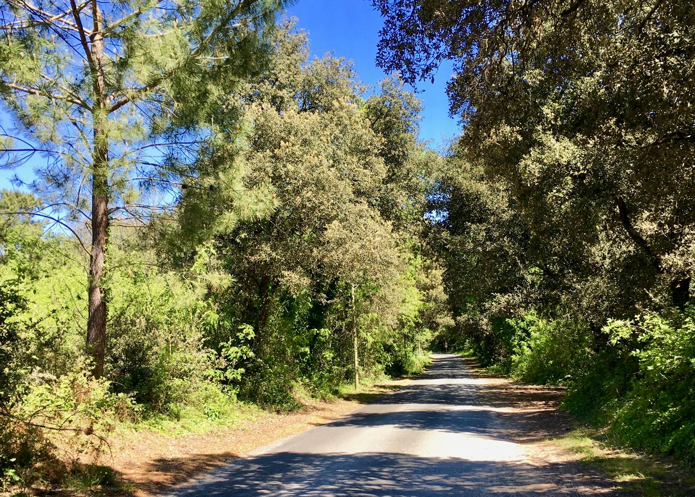 La passe de l'écuissière