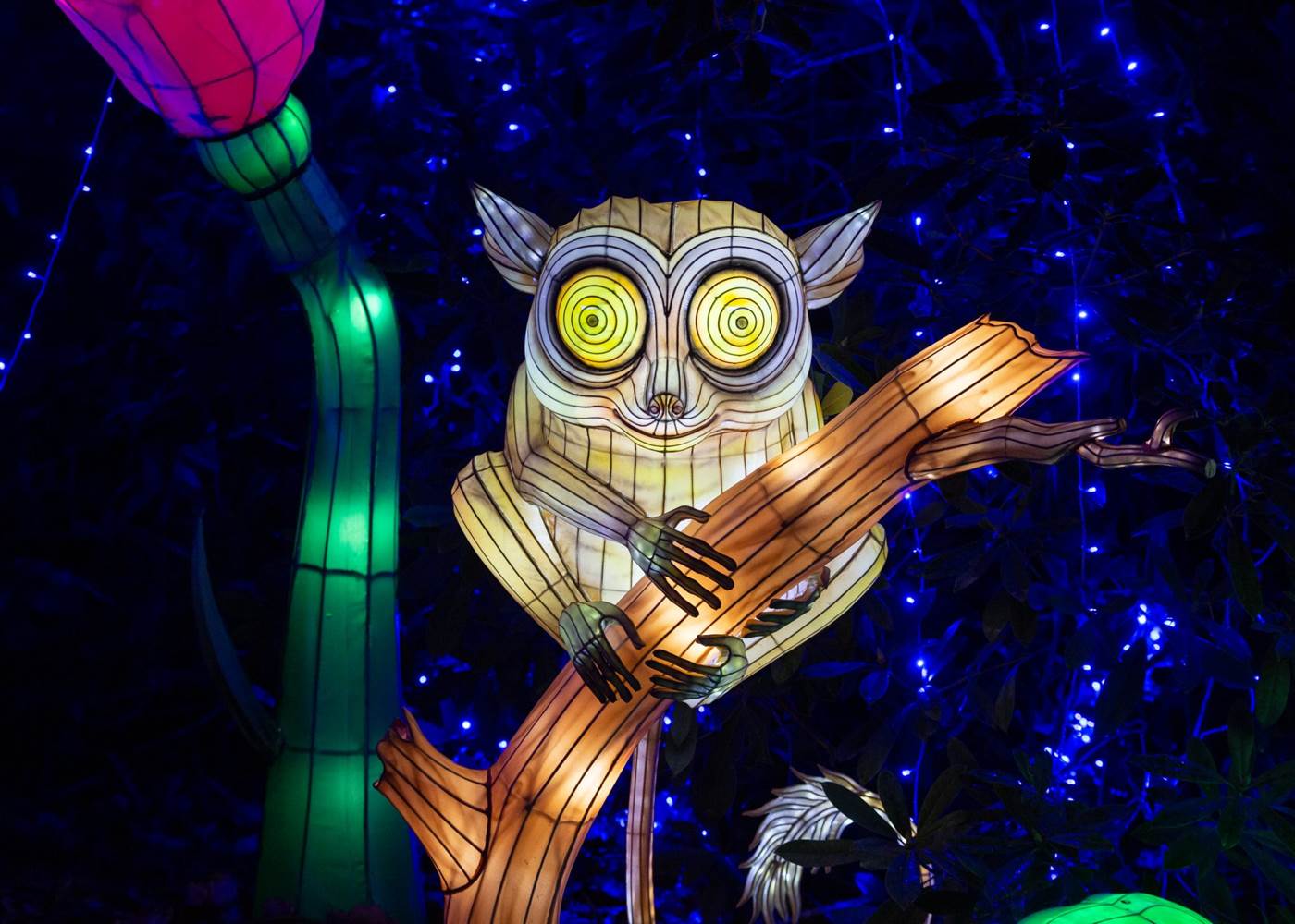 Thoiry Lumières Sauvages