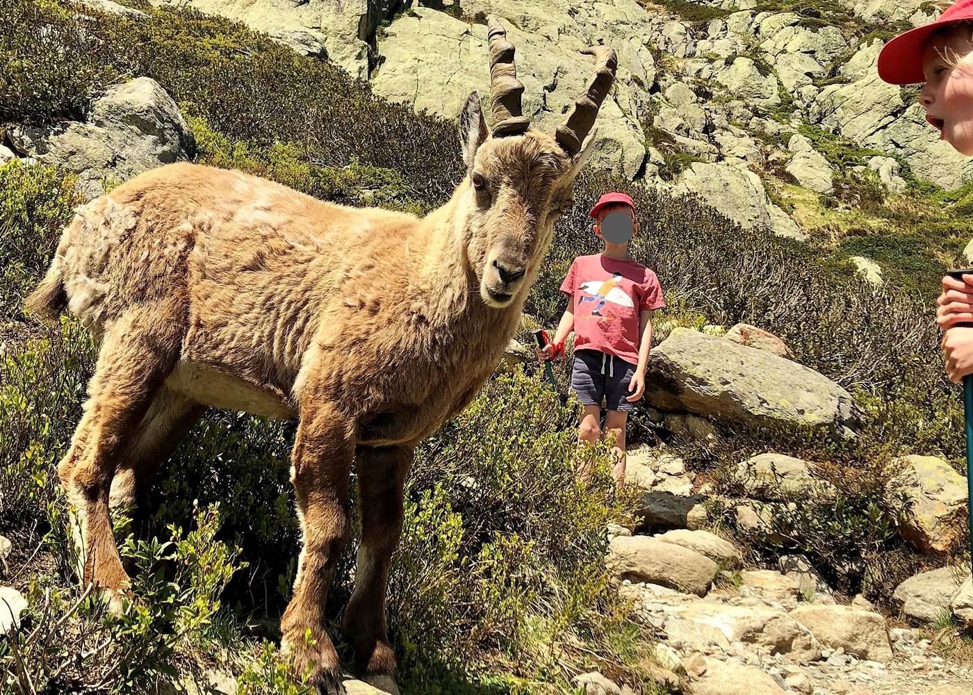 Une belle rencontre à 10 minutes de l'appartement / Great meeting 10 minutes from the apartment