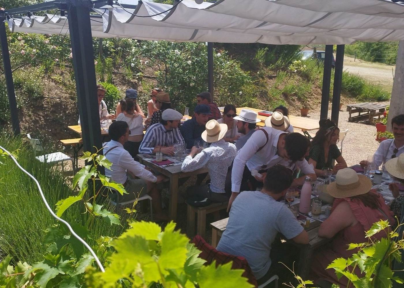 Pique Nique chez le vigneron