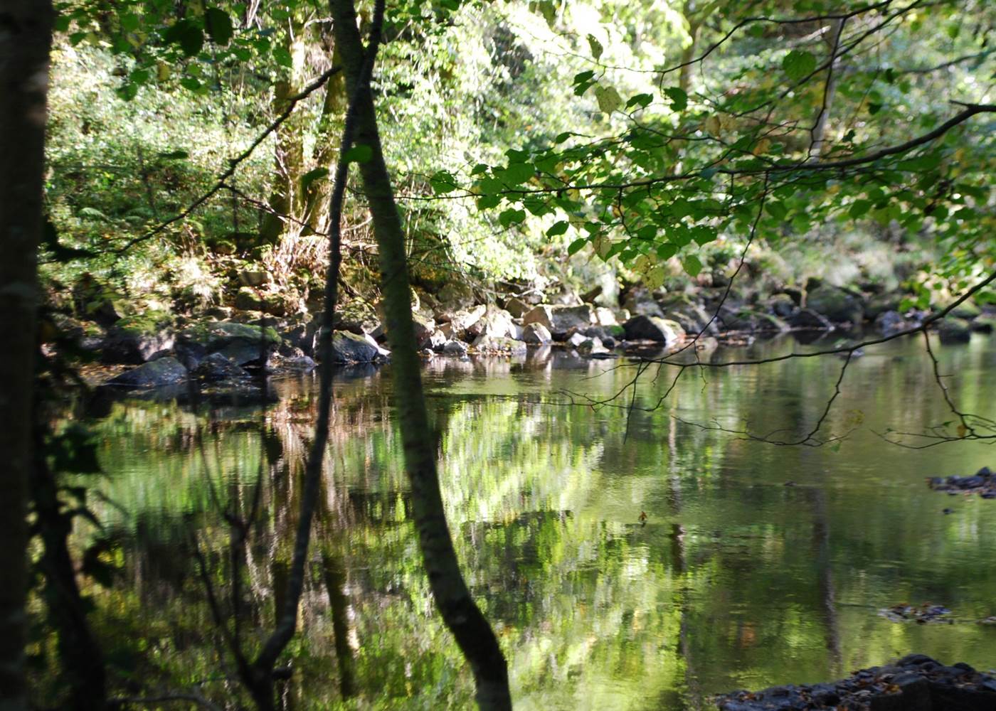 la Vienne à La Lérisse  20' à pied du Ranch des Lacs Hébergement Parc Naturel régional de Millevaches