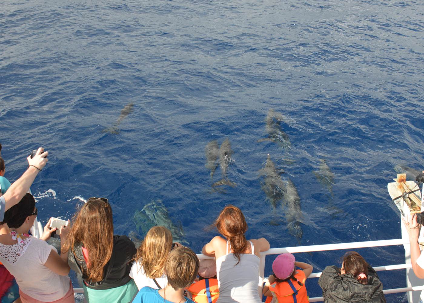 Découvrez notre île