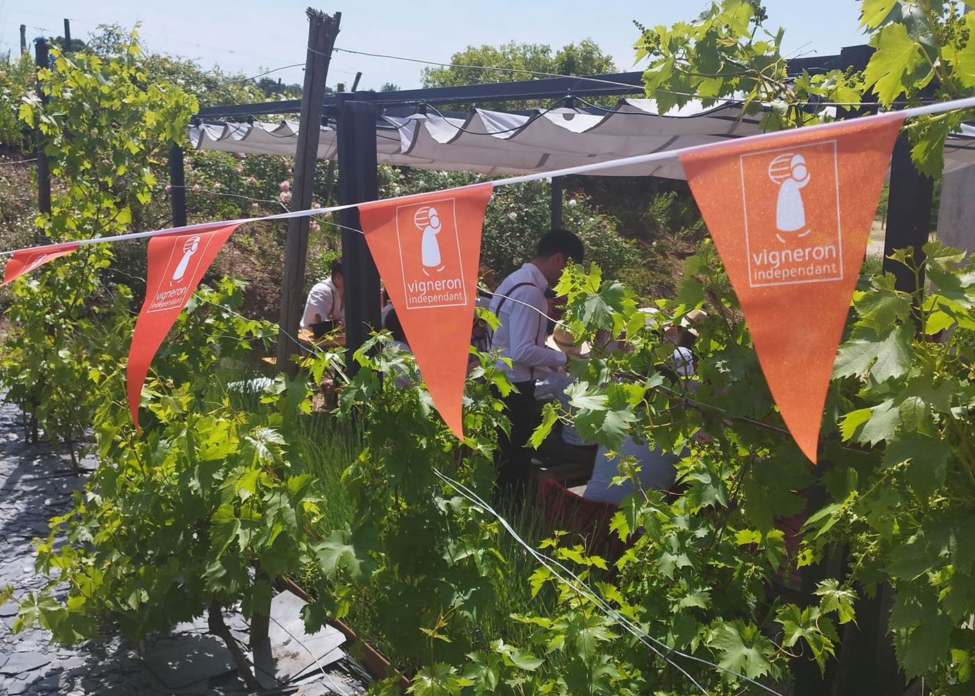 Pique Nique chez le vigneron