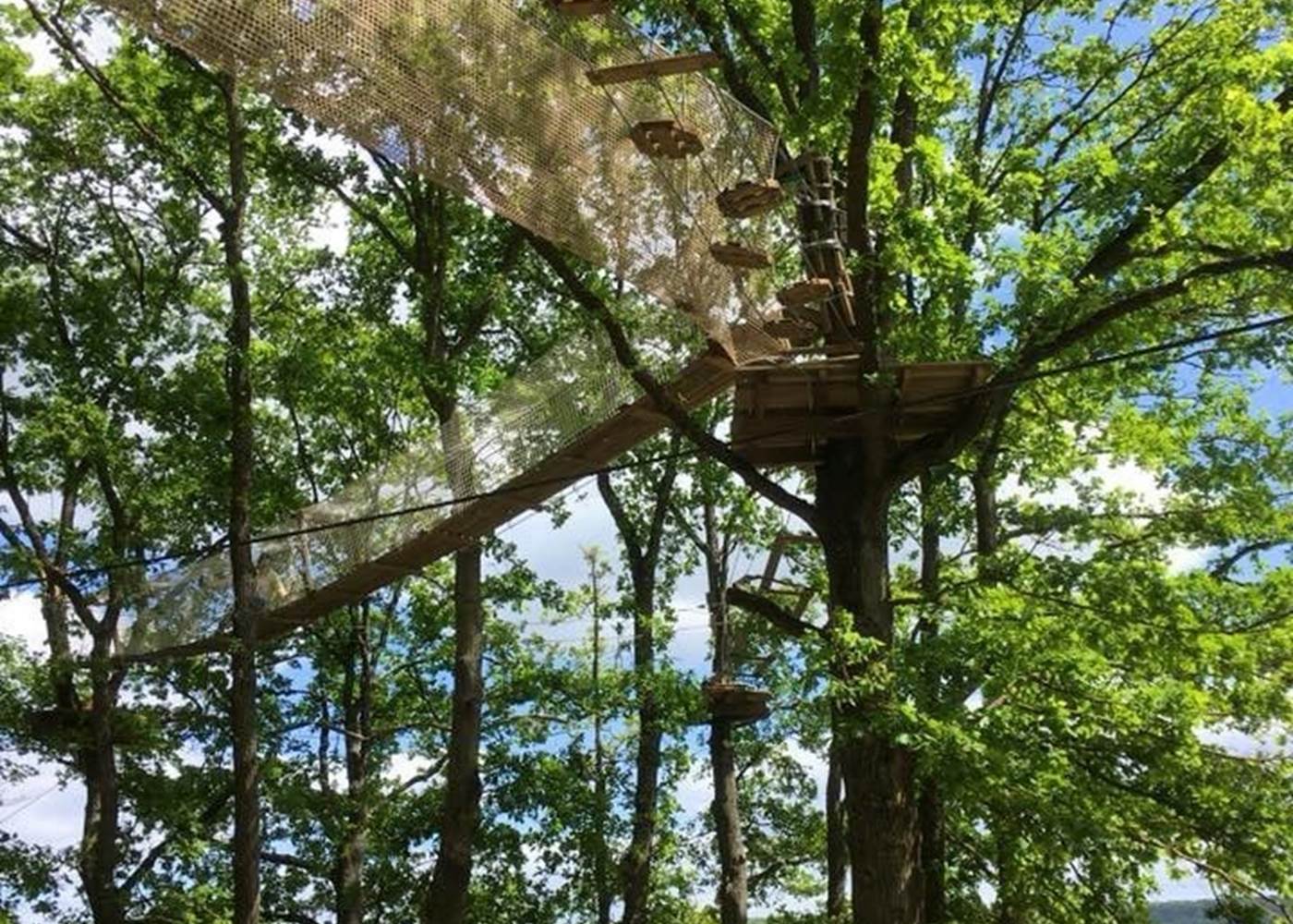 Activité Accrobranche