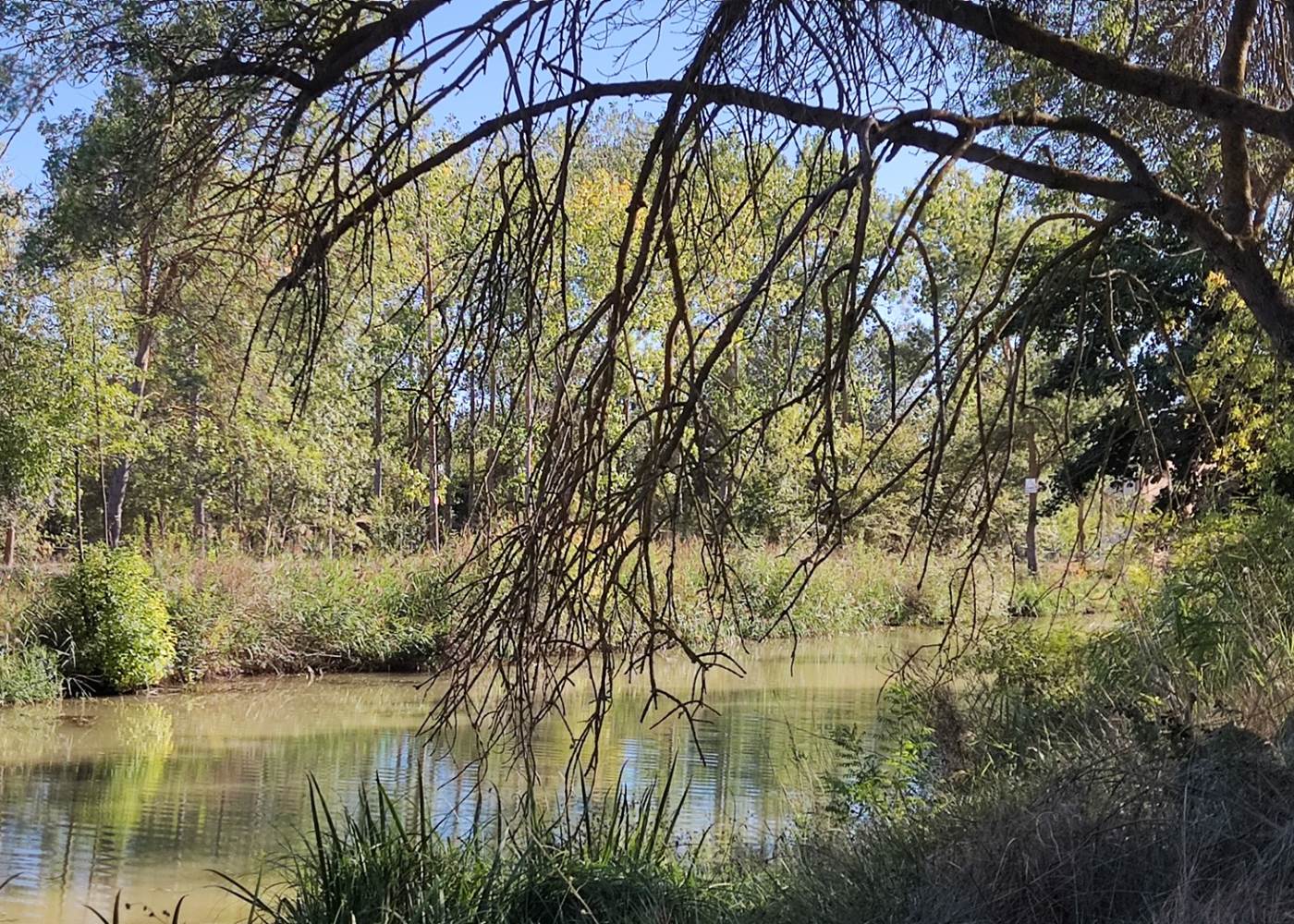 Le long du Canal du Midi