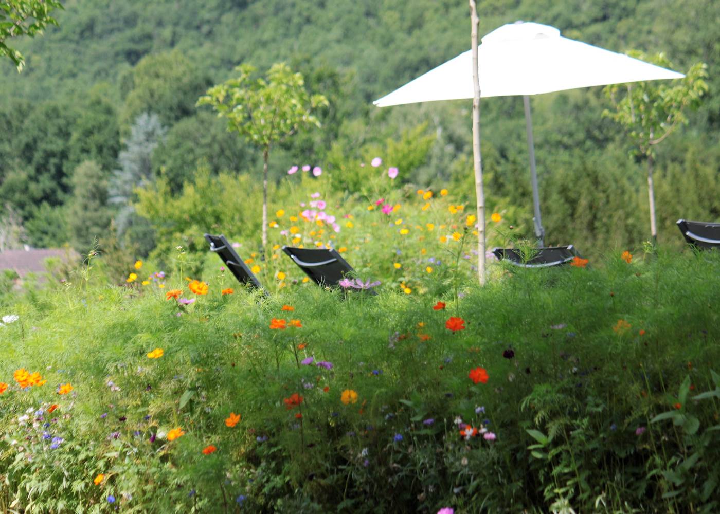 Berçeuse au milieu des jachères