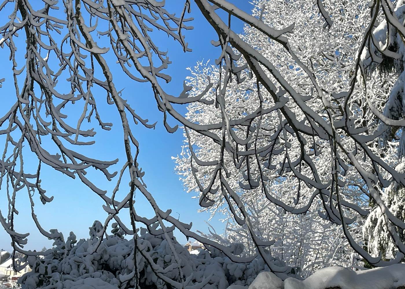 Maison d'hôtes La Chouannerie 15 minutes Puy du Fou