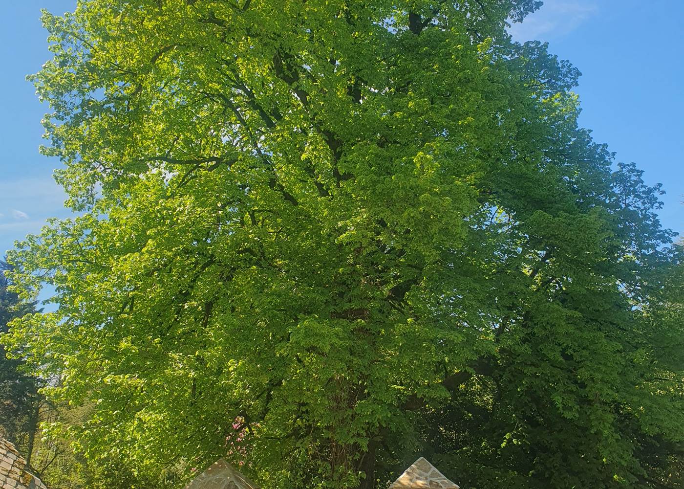 Domaine du Four - Le parc