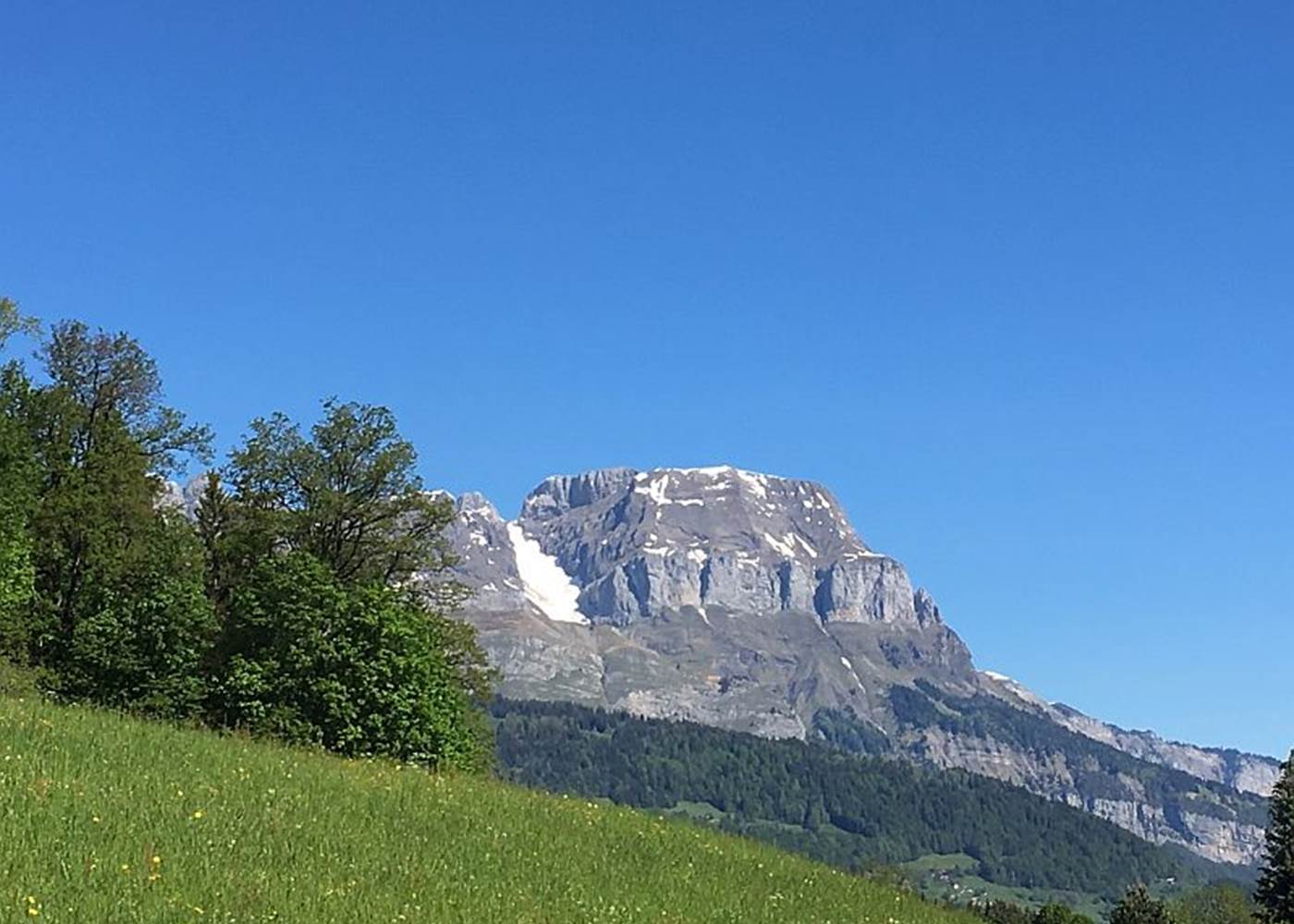 Vue depuis l'arrière du chalet