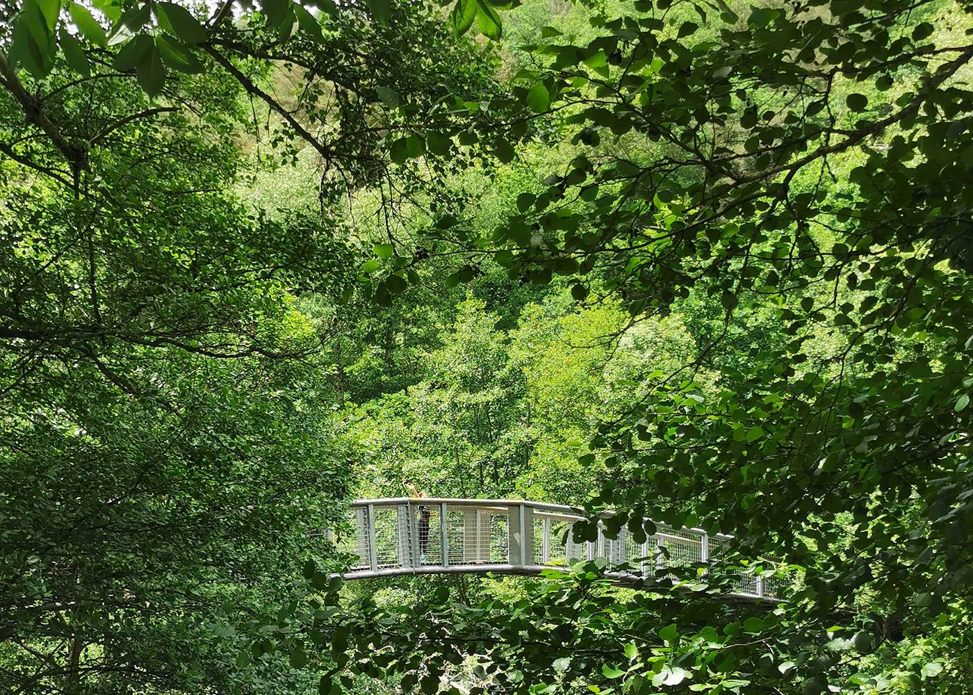 Balade au Terran, au bord de la Tuyère