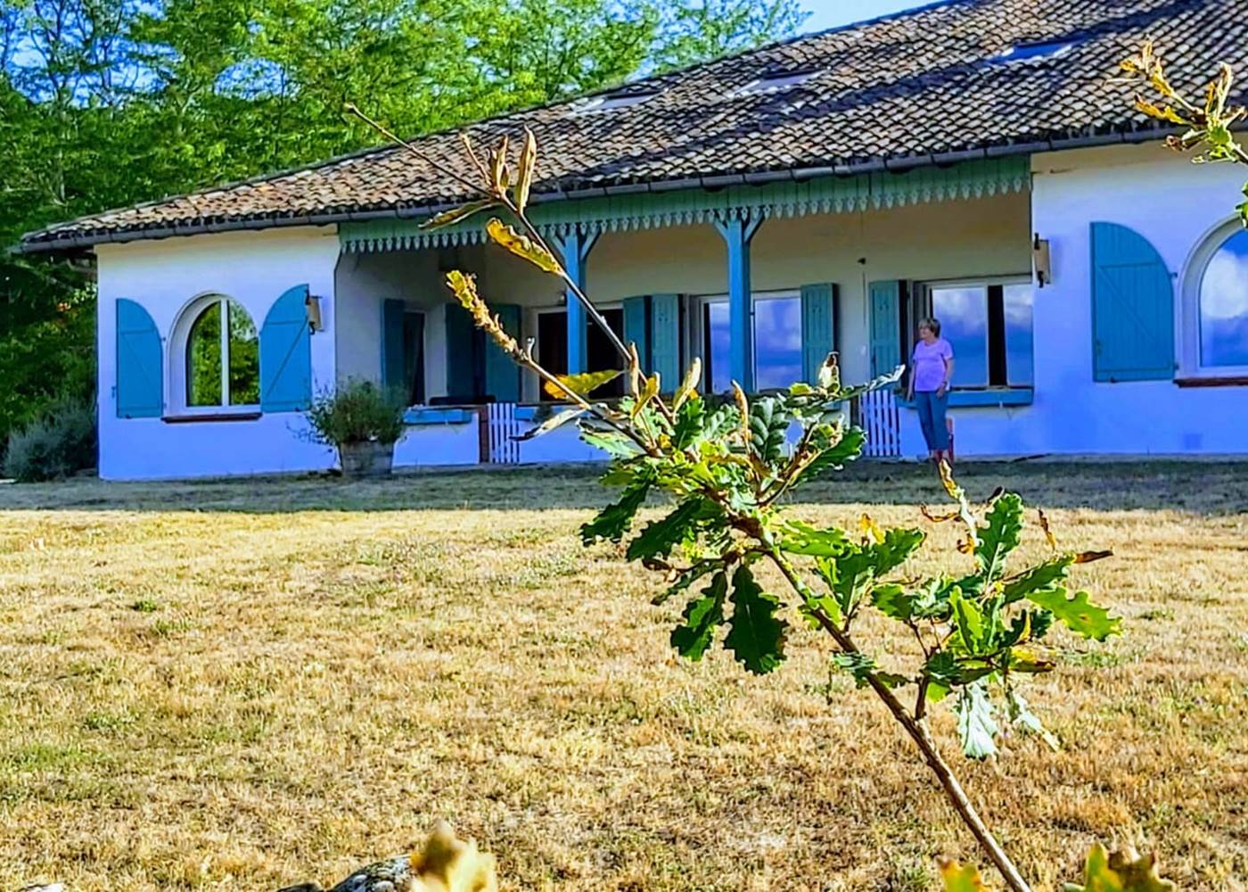 Un lieu ou l'on peut voir pousser les arbres