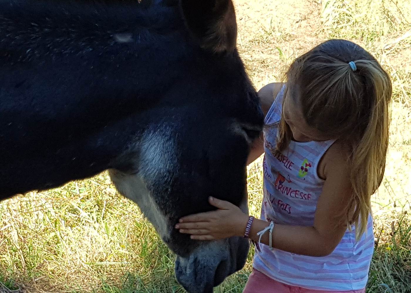 Rando avec un âne, étape à la Maison du Masjoubert