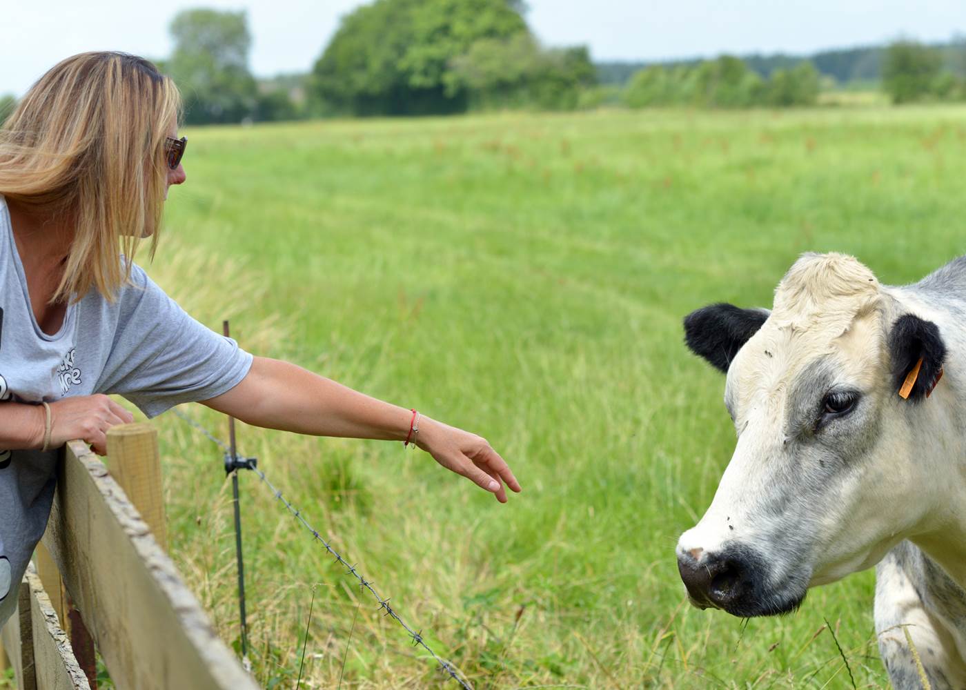 Insolites Chimay vue sur campagne (2)