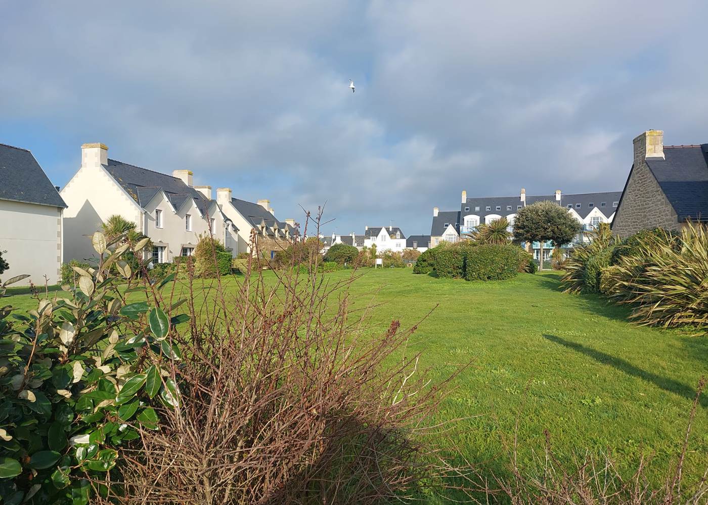 WhatsApp Image 2025-01-12 at 15.19.51 (1)