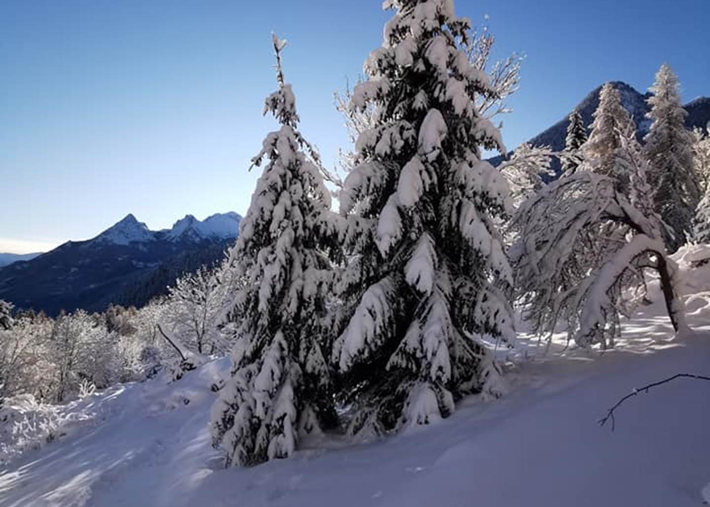 Les cabanes du domaine de l'Esperluette - Extérieur