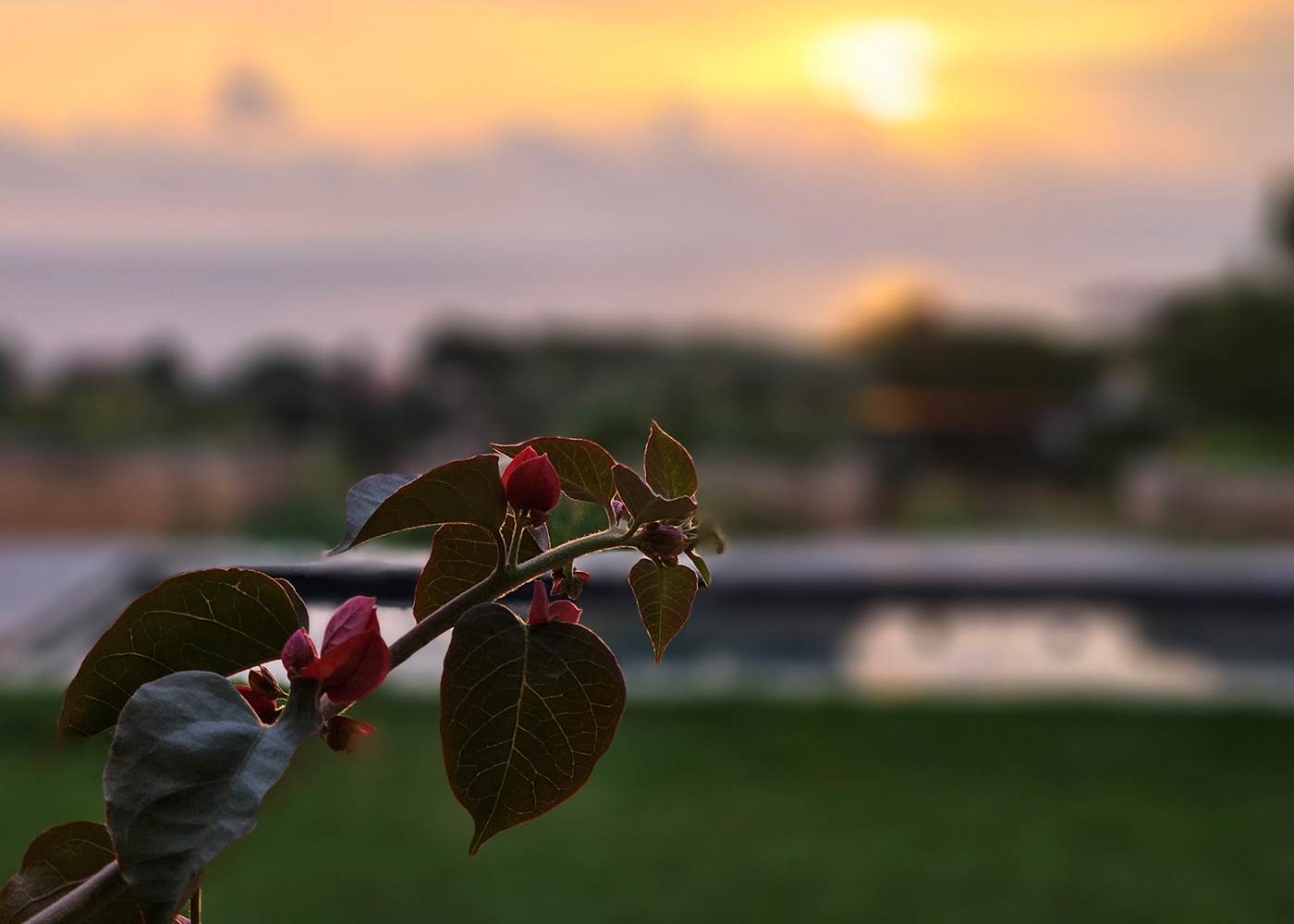 coucher soleil piscine
