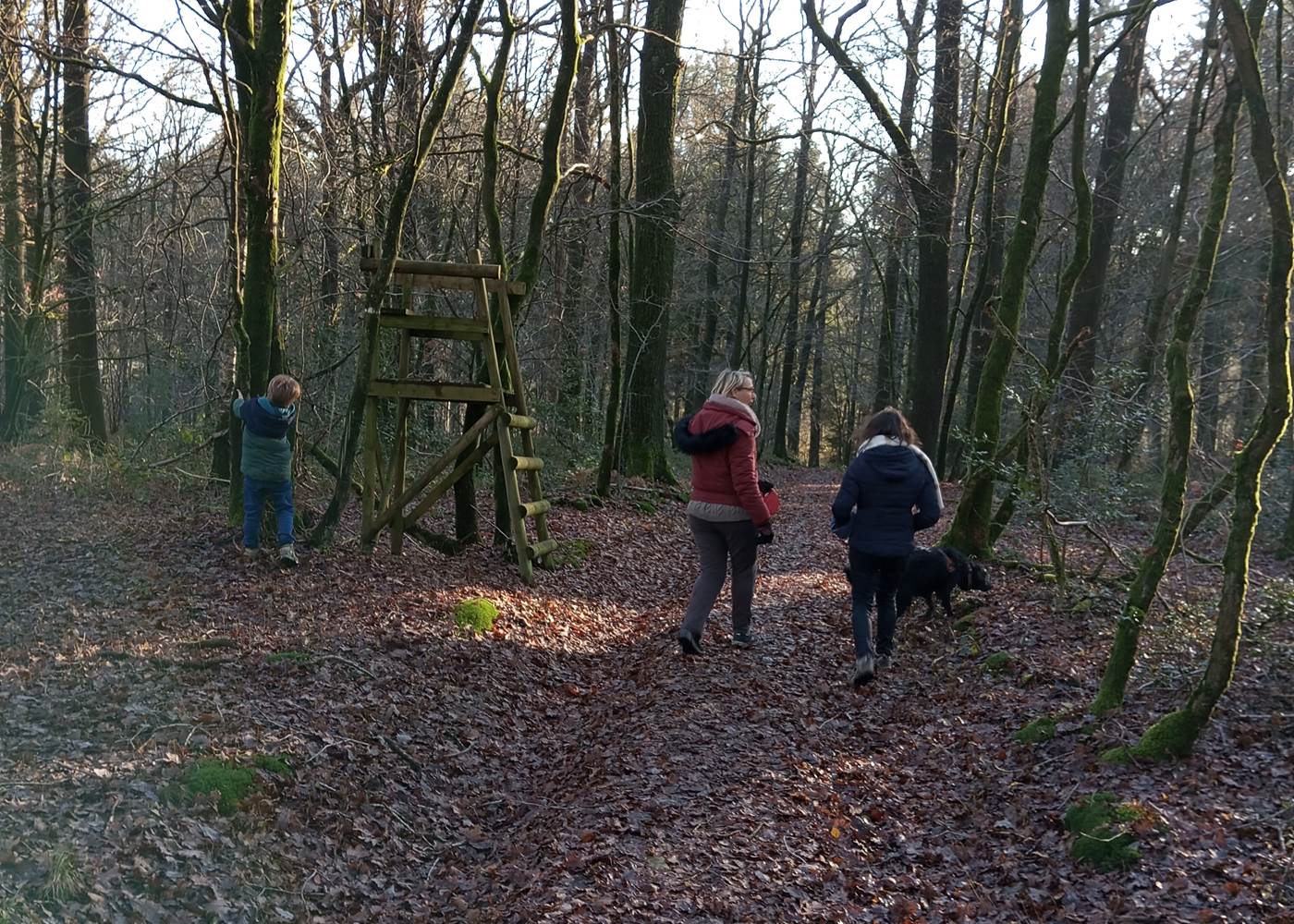 sentier de randonnée au pied du gîte- La demoiselle ô bois