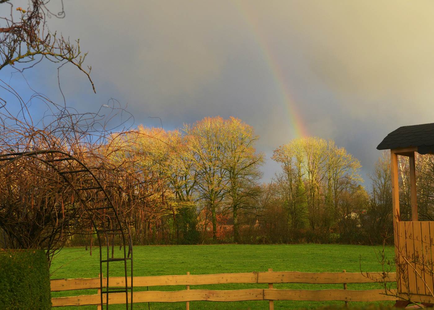 Insolites Bengali Ext