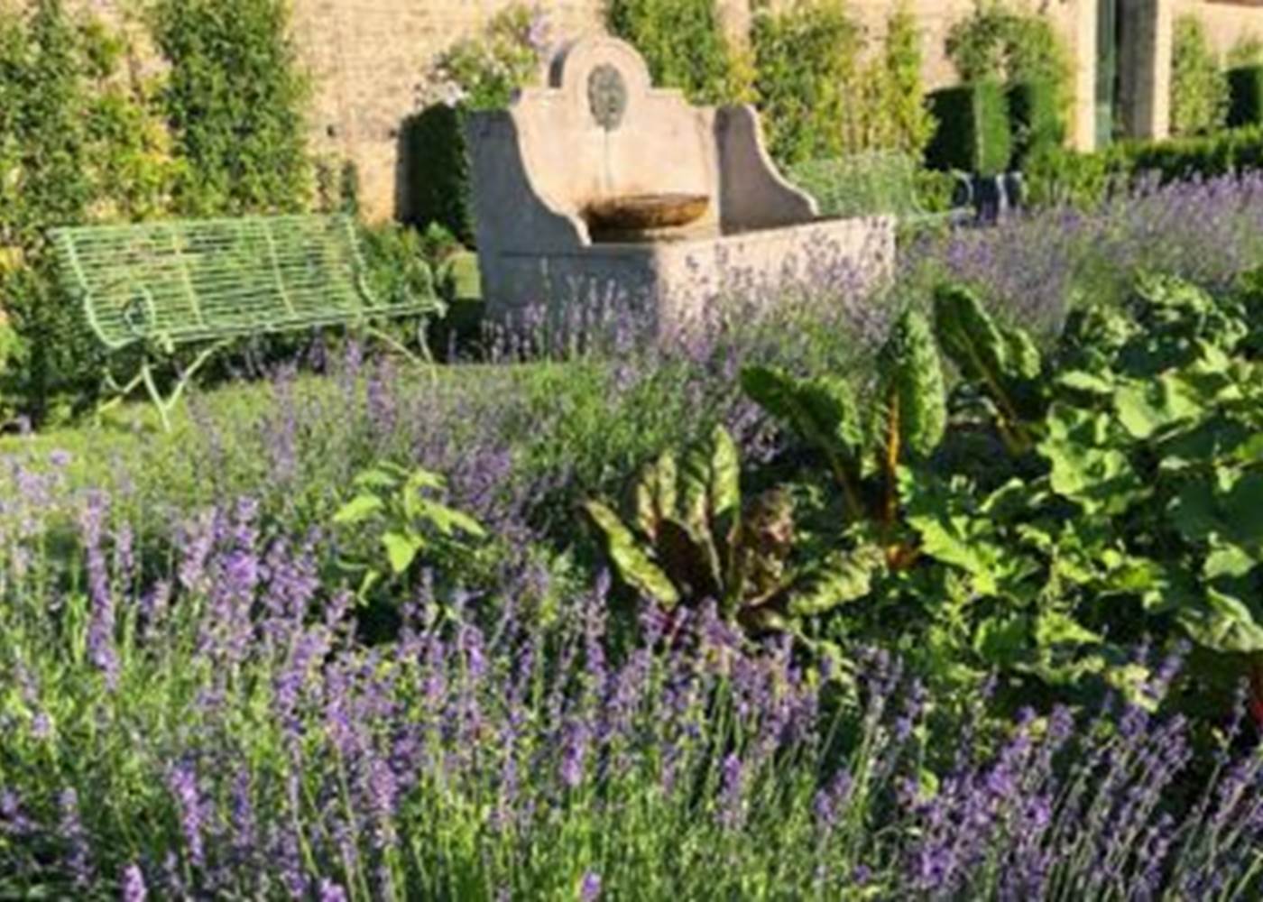 Carrée des lavandes