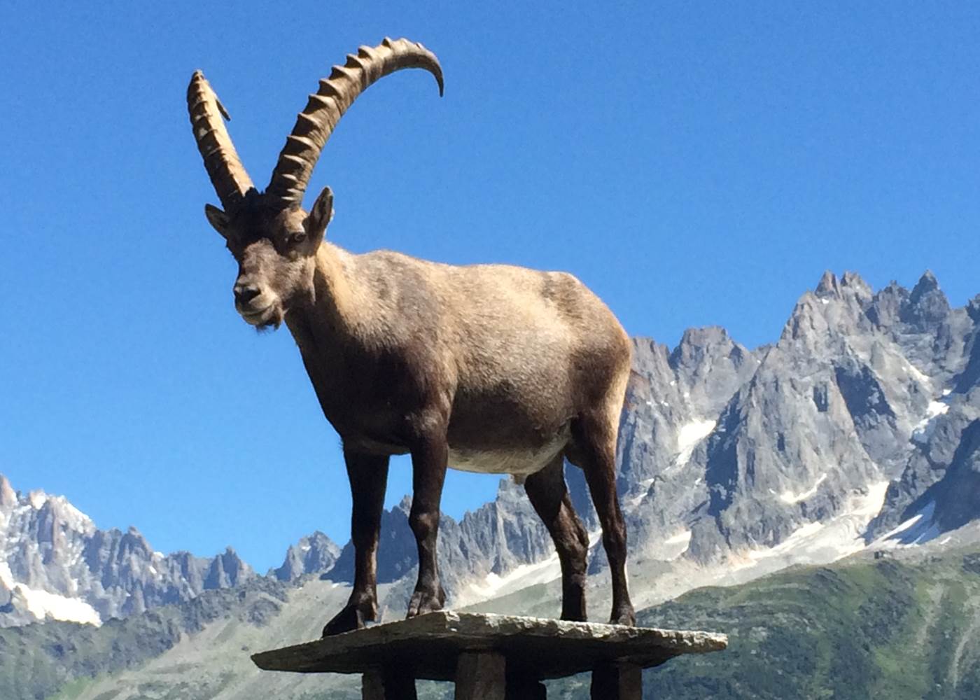 Parc de Merlet (Les Houches) 35 minutes from Vallorcine