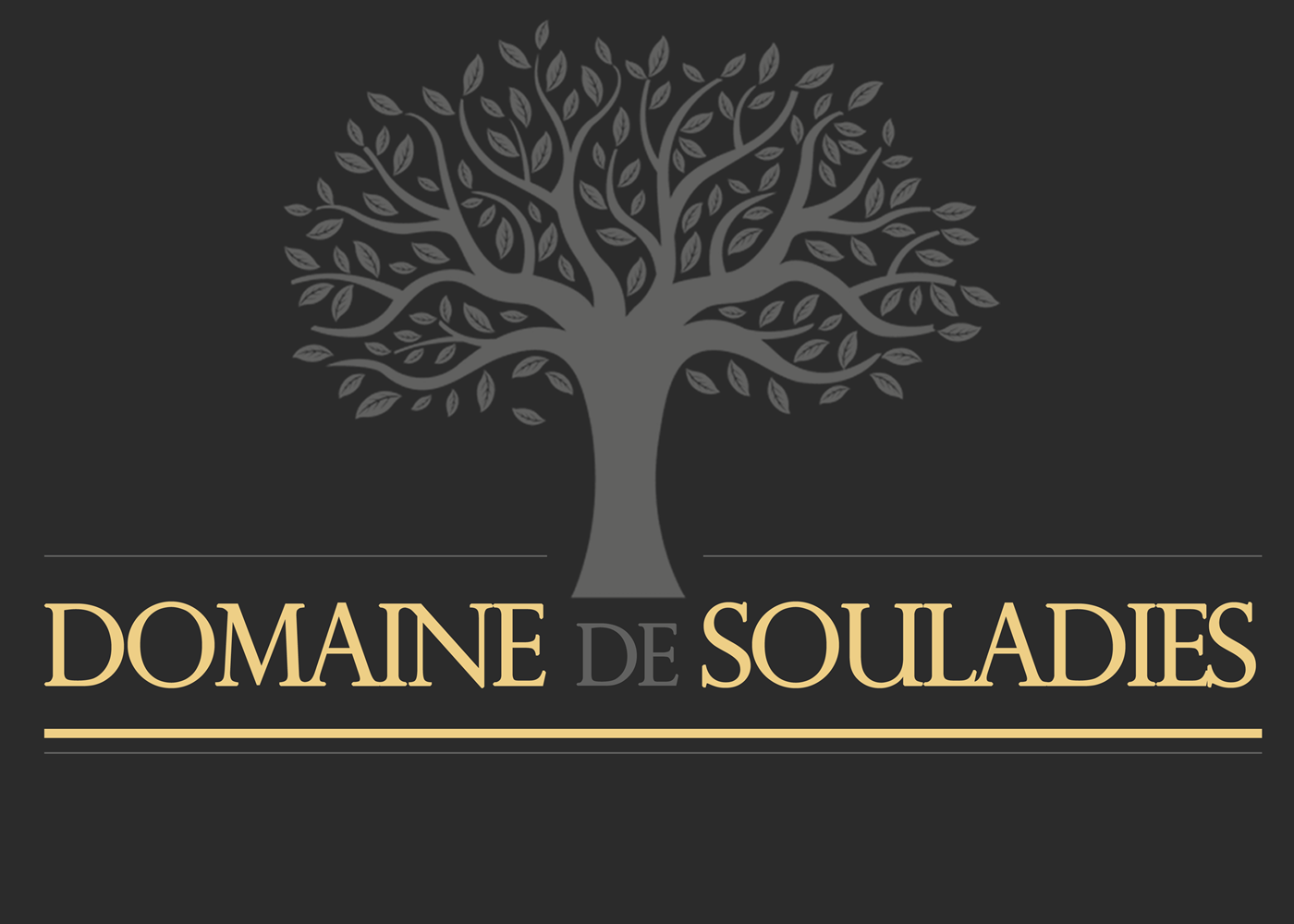 logo-domainedesouladies