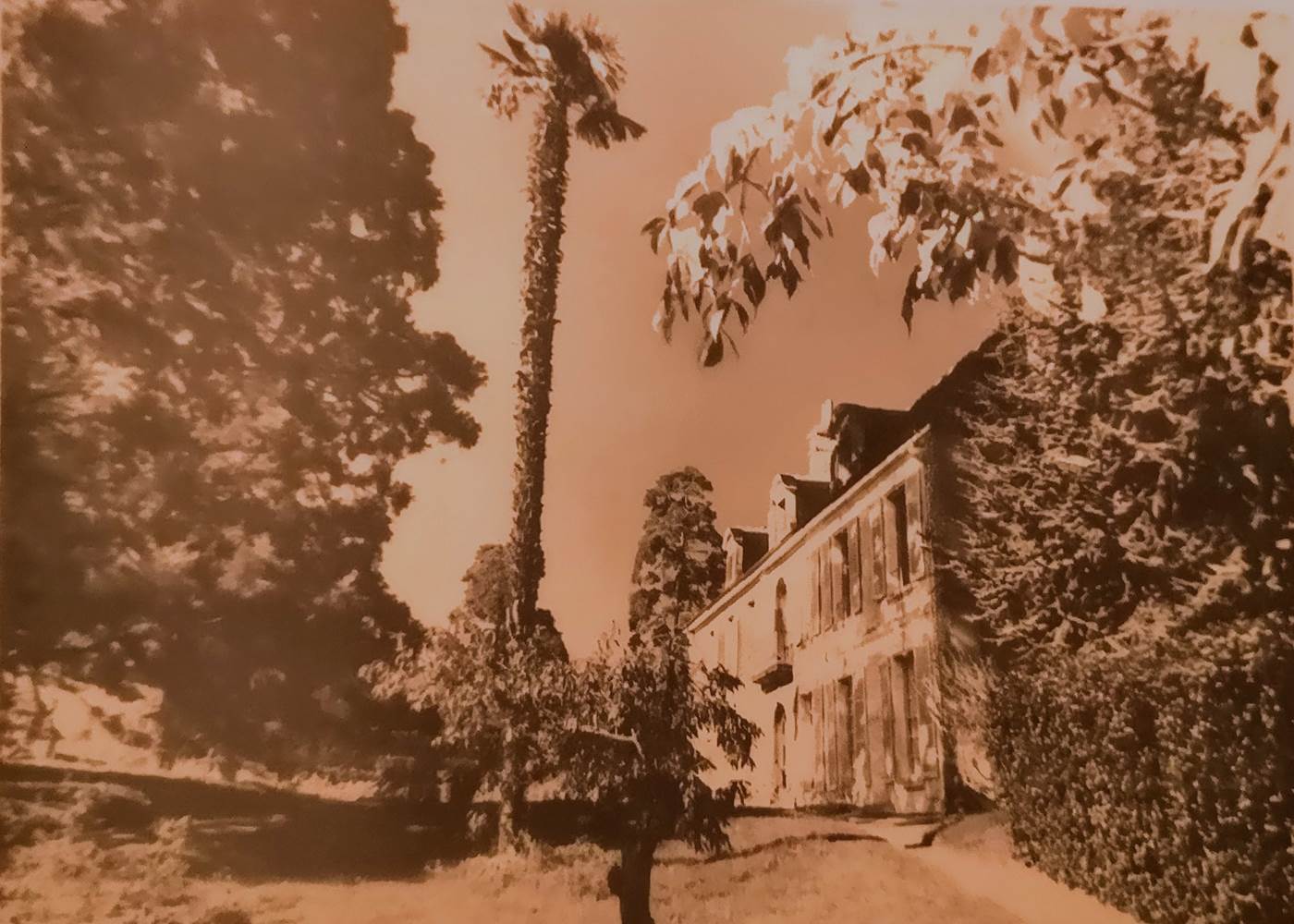 Dans les années 30... avec le palmier.