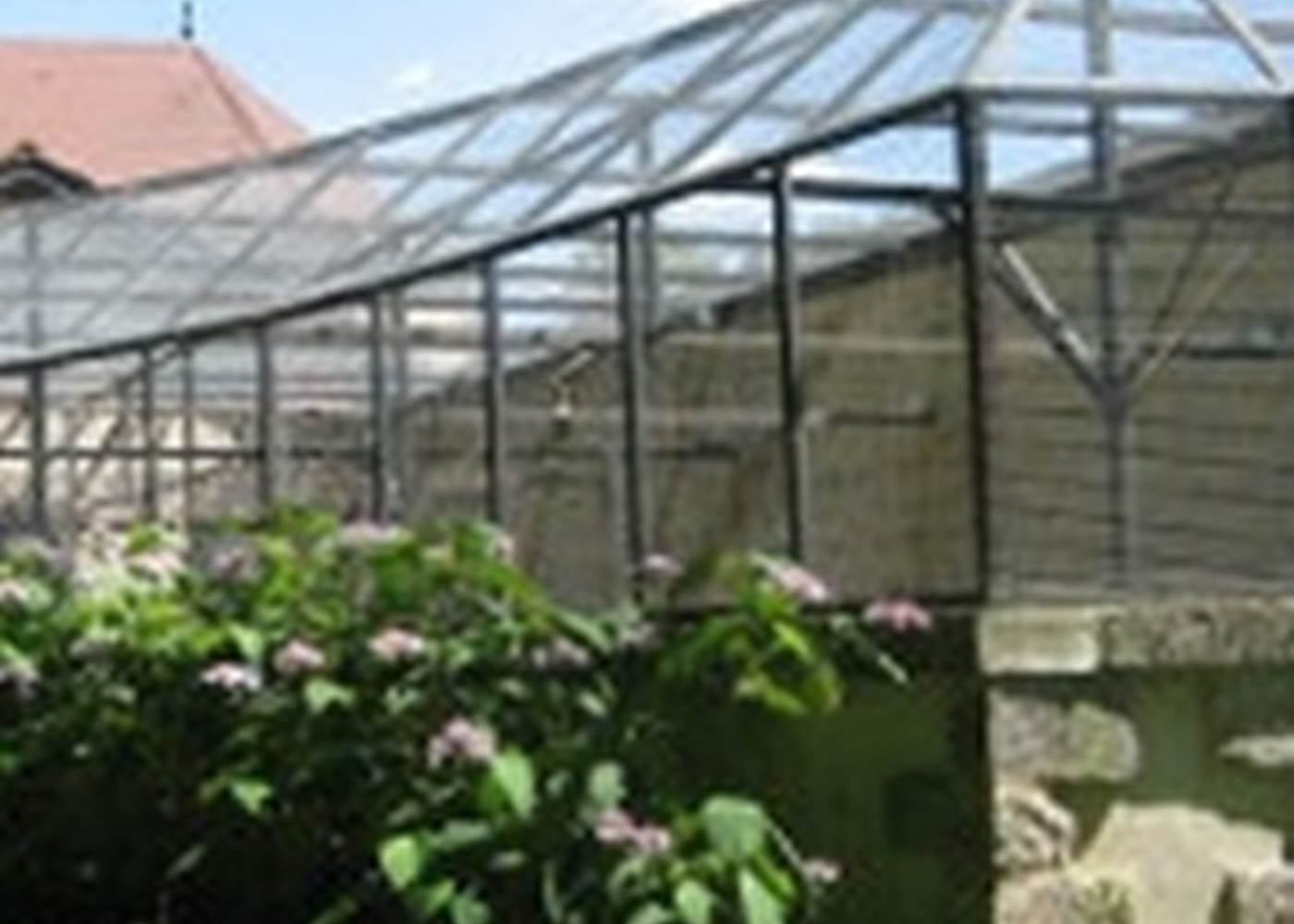 La volière installée dans l'ancien chenil