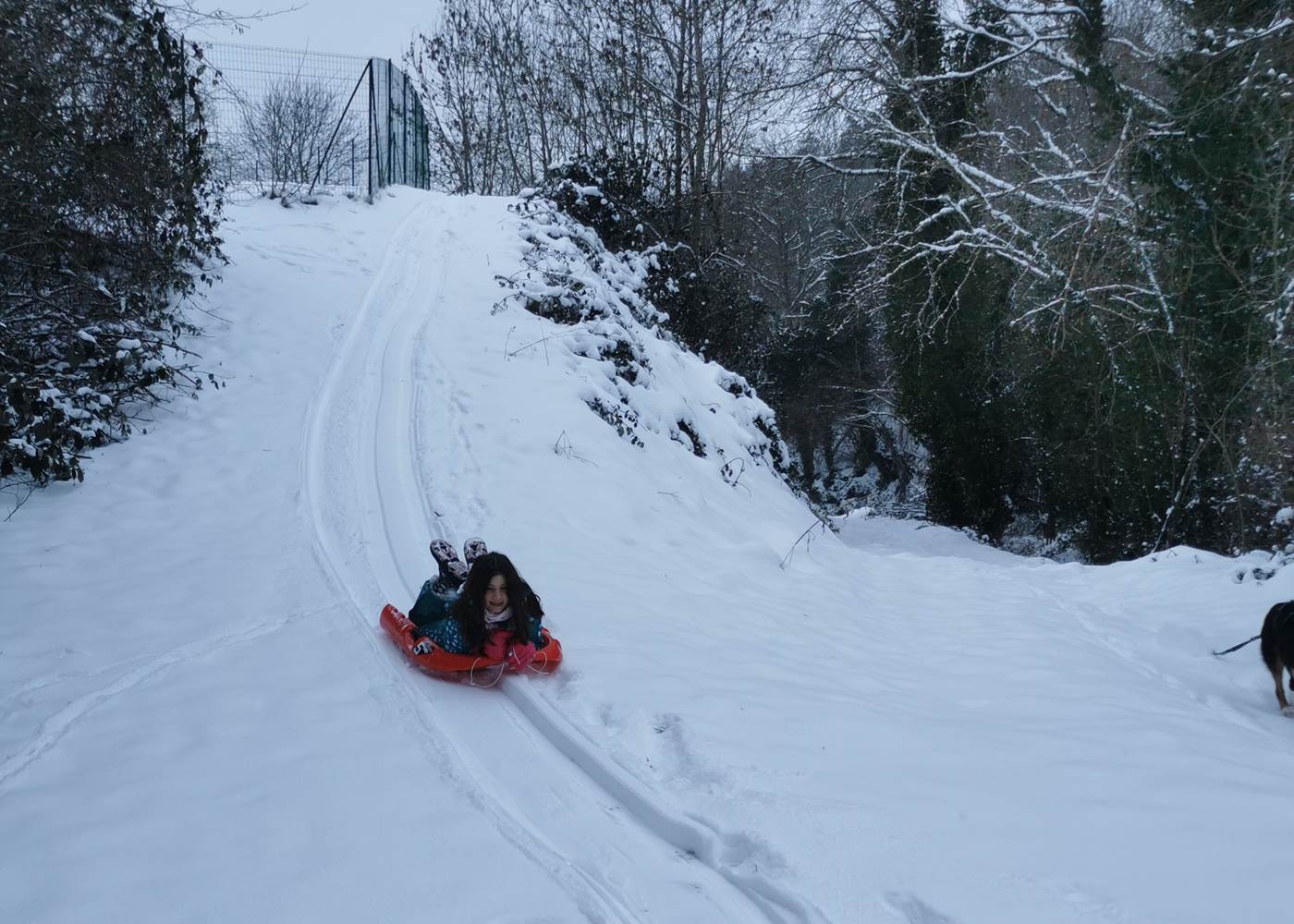 Faire de la luge dans Loubaresse !