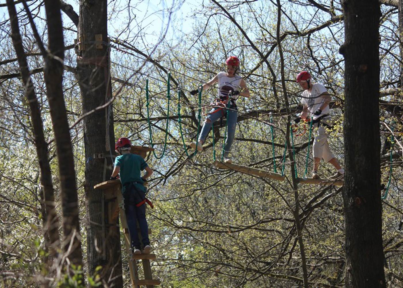 accrobranches - pont de bois