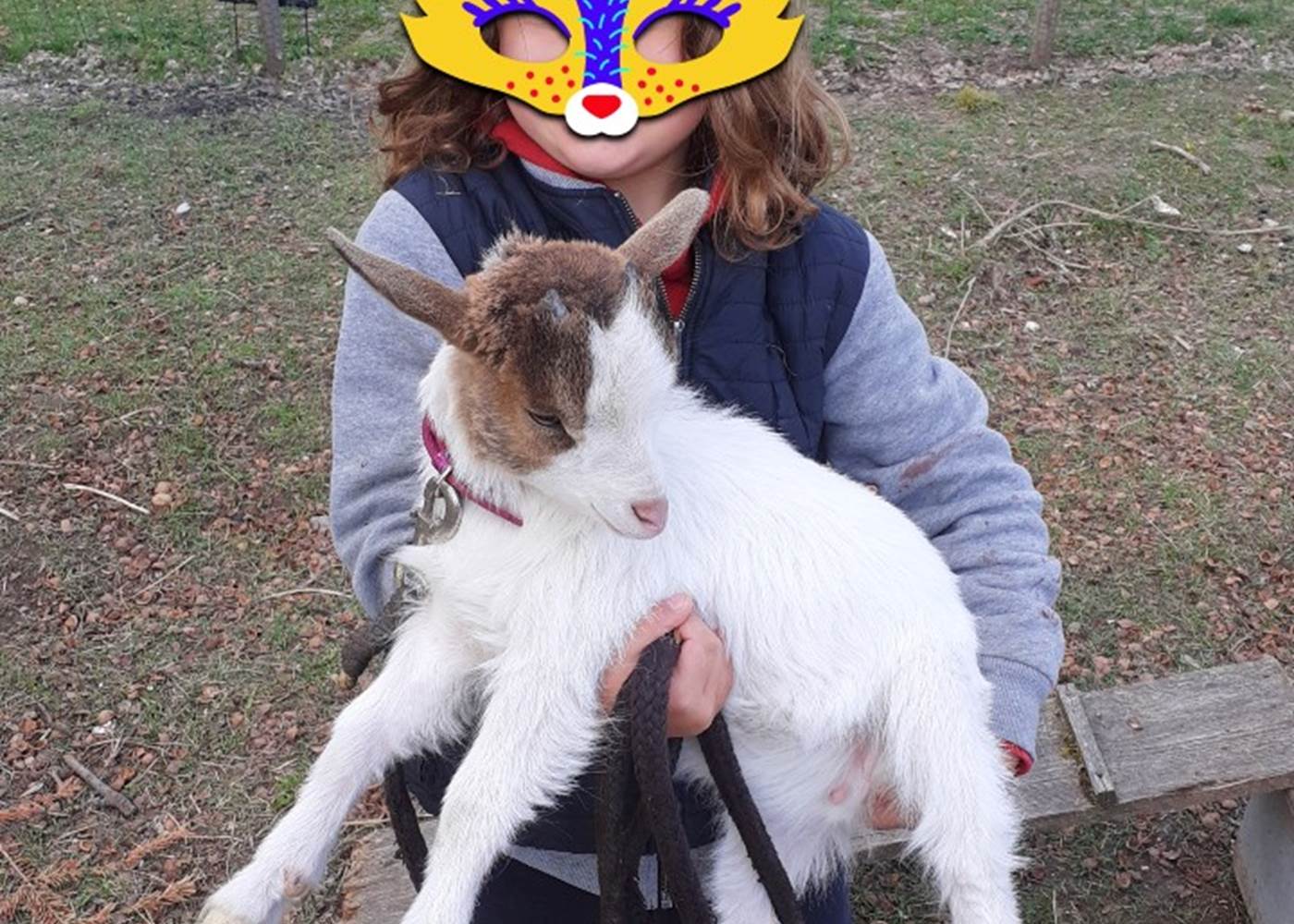 Domaine du Gué du Roi Découvrir la Mini-Ferme