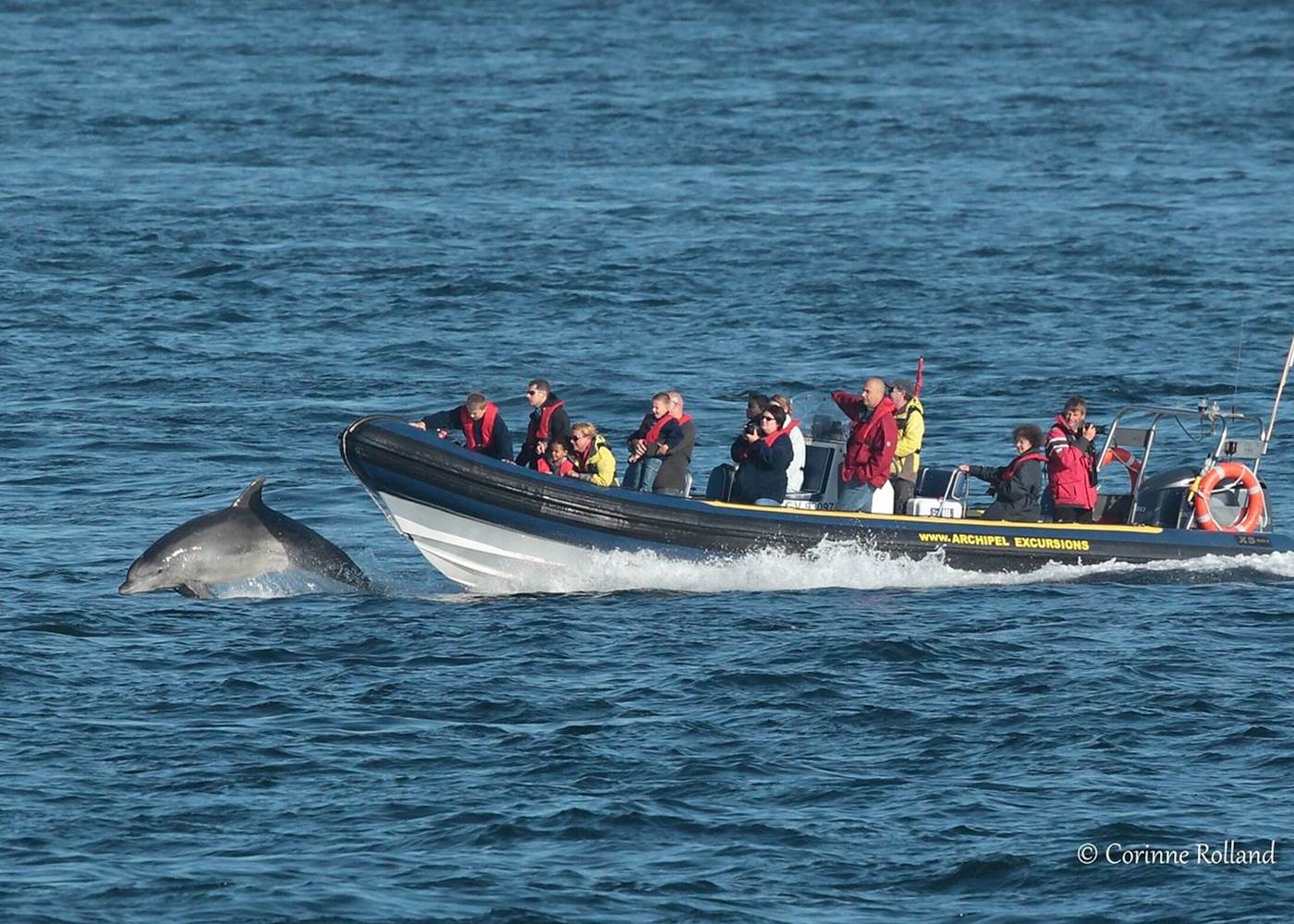 Depuis Plouarzel en Bretagne, Arcipel Excusions organise au départ du Conquet une aventure unique pour les familles en quête de découvertes marines