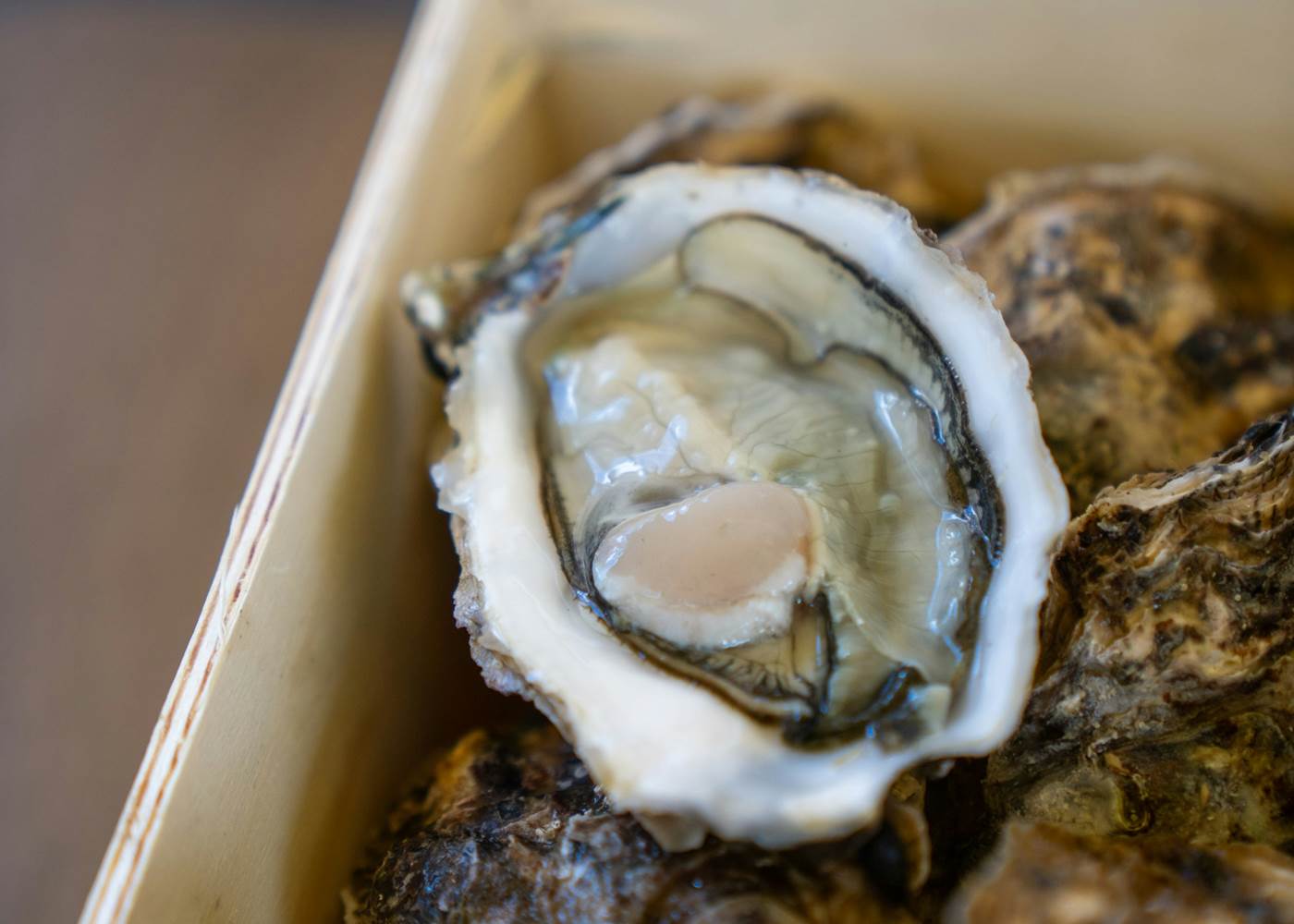 weekend-golfe-du-morbihan-hotel-arradon-degustation-huitres