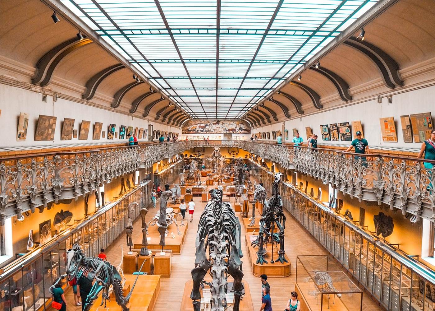 Muséum d'Histoire Naturelle