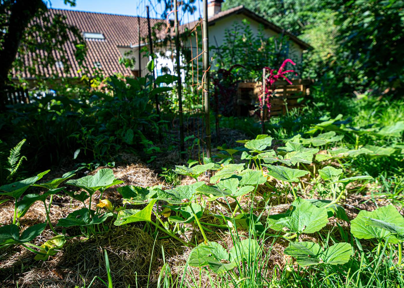 Les jardins de Berdis - Potager