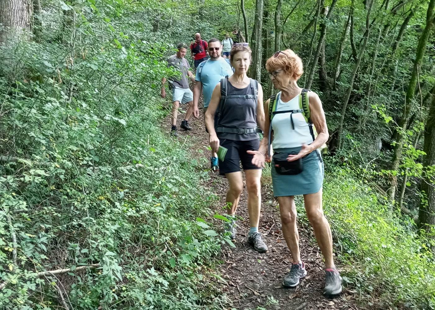 Balades découvertes animées par le Parc ESEM