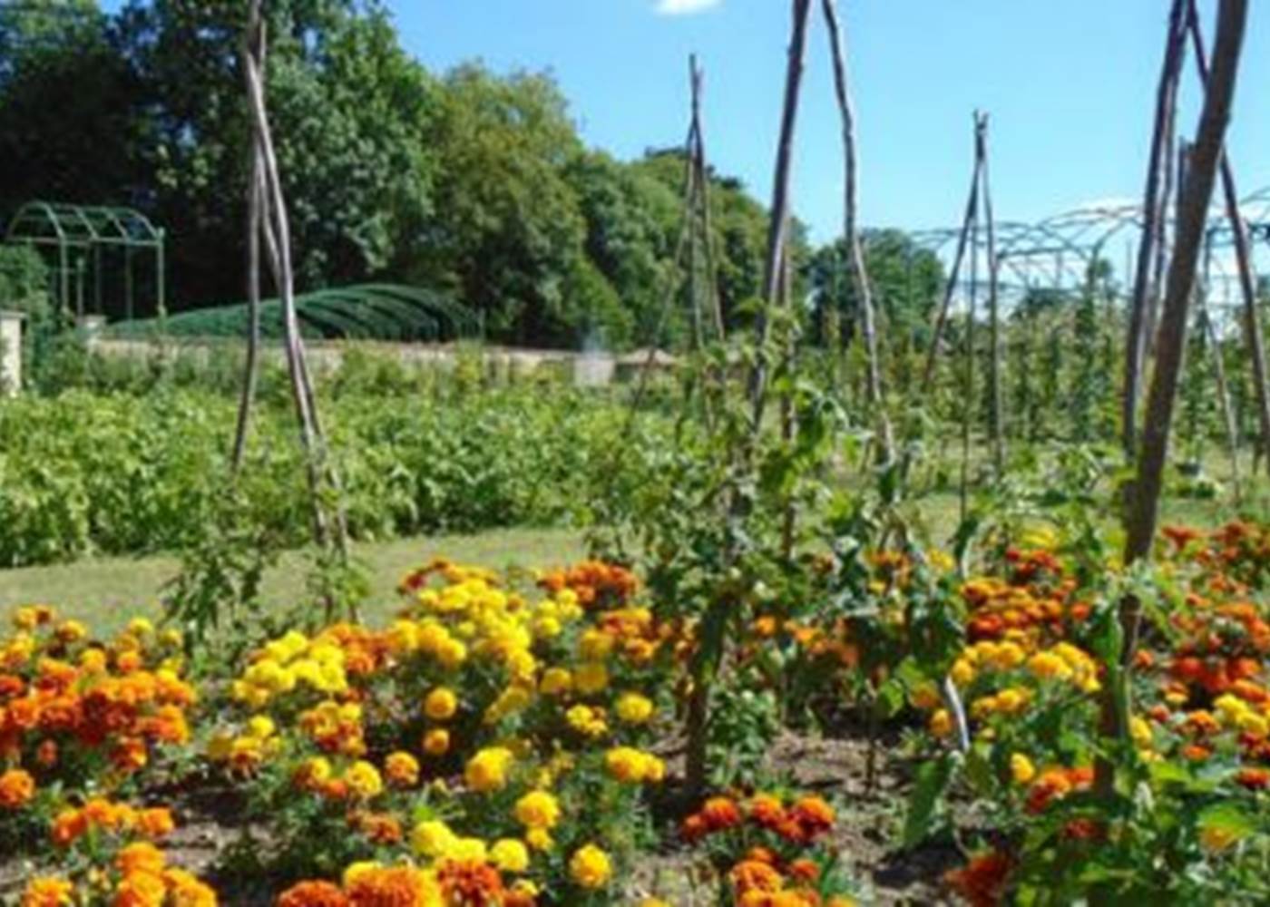 LES VERGERS-POTAGERS