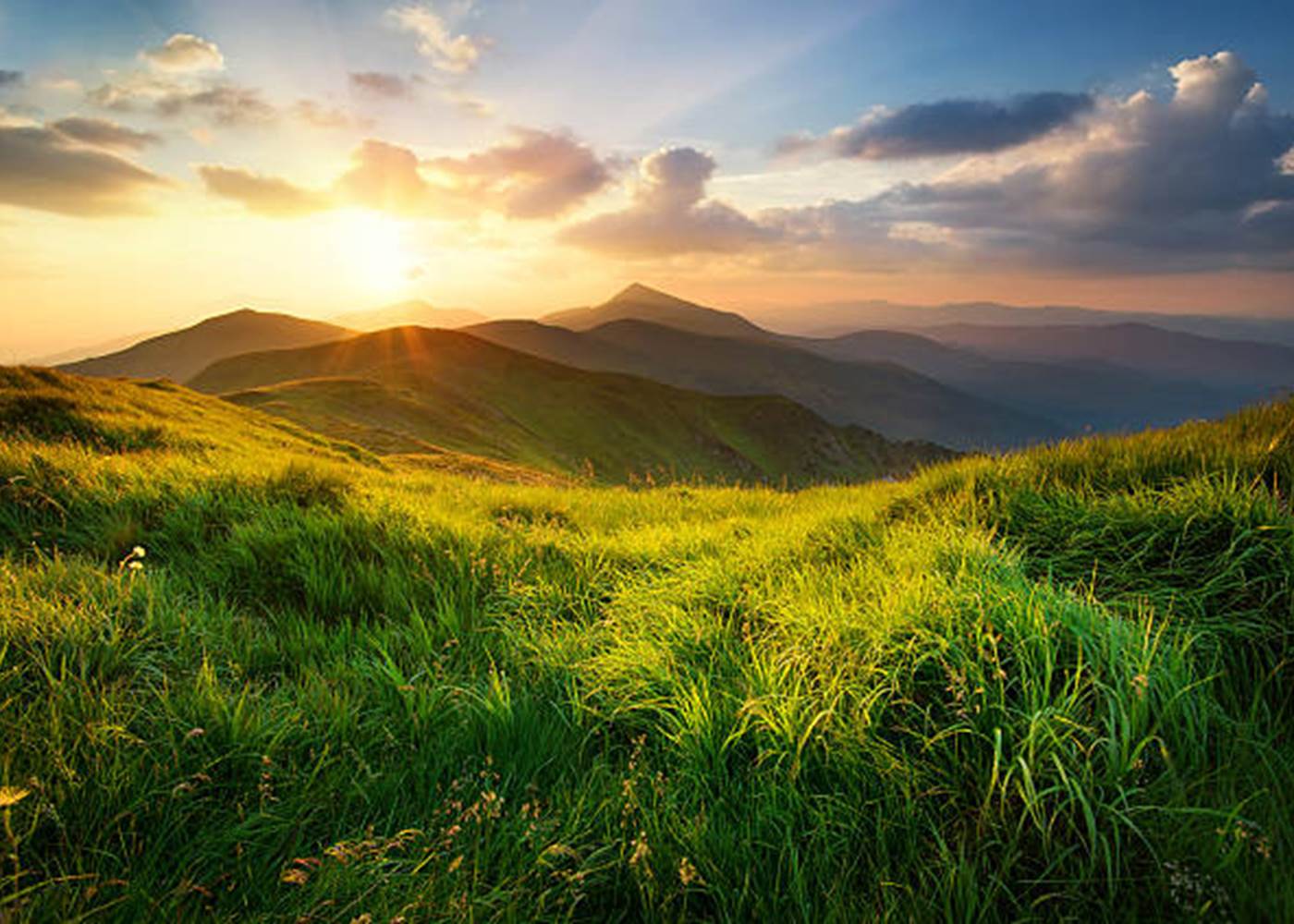 le printemps dans le massif des vosges